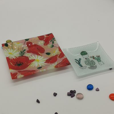 Qualität Anpassen der Farbe in Kaktus Quadrat Glas Dinner Platten usine