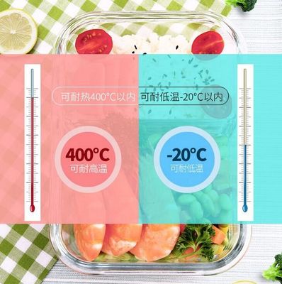 Qualität Borosilikat-Glas-Lunchboxen mit Verschlussdeckel usine