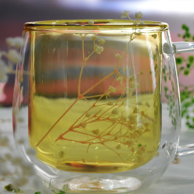 Qualität Doppelschicht-Tumbler-Gläser mit großer Kapazität usine