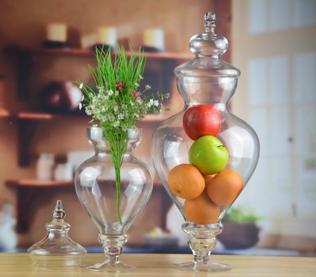 Qualität Vogelhalter Glaskanister mit Deckel usine